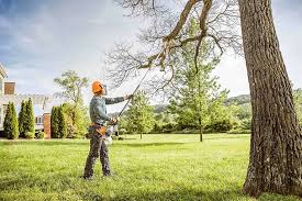 Best Tree Removal Services  in Bremerton, WA